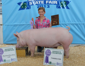 Schwecke Winner
