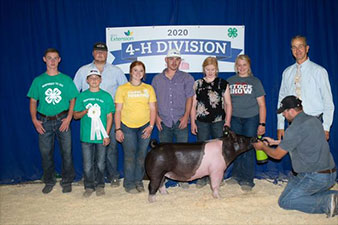 Schwecke Winners