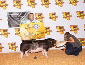 Schwecke Winners