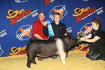 Schwecke Winners