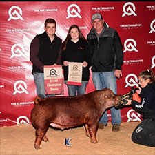 Schwecke Winners