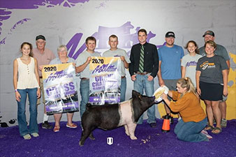 Schwecke Winners